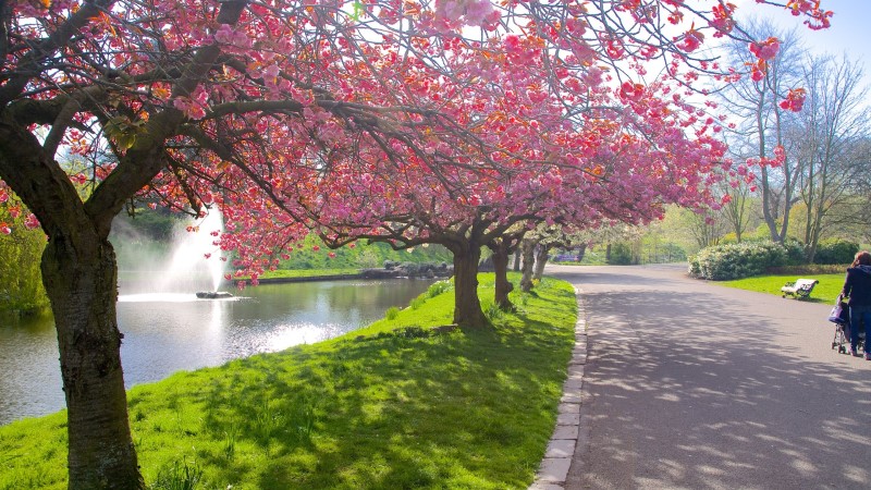 Sefton Park in Liverpool